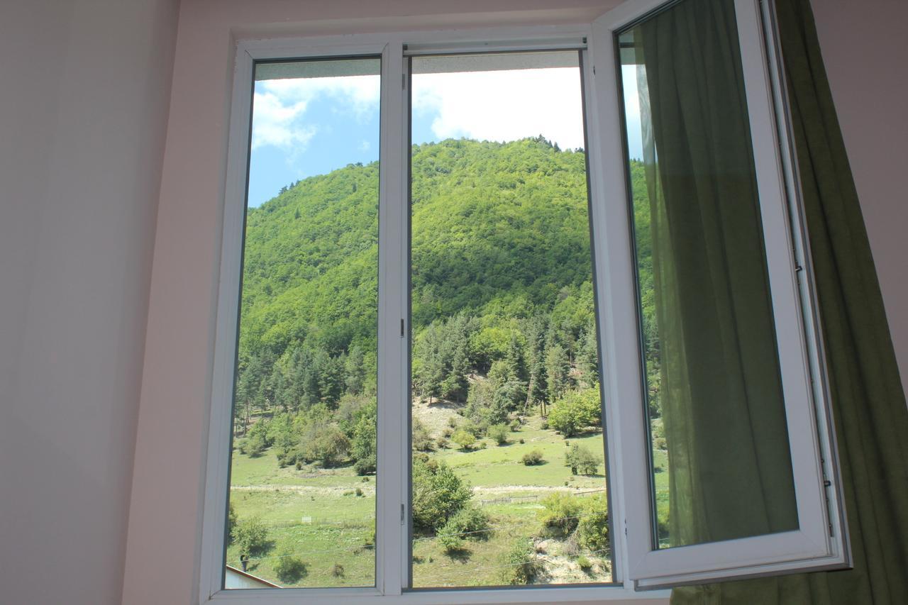 Mariana'S Guest House Mestia Bagian luar foto